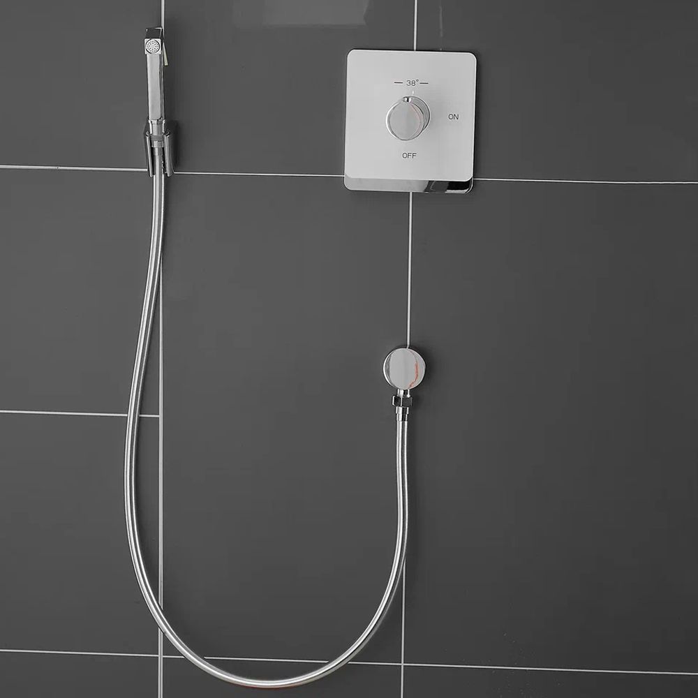 Гигиенический душ Rose, R105C