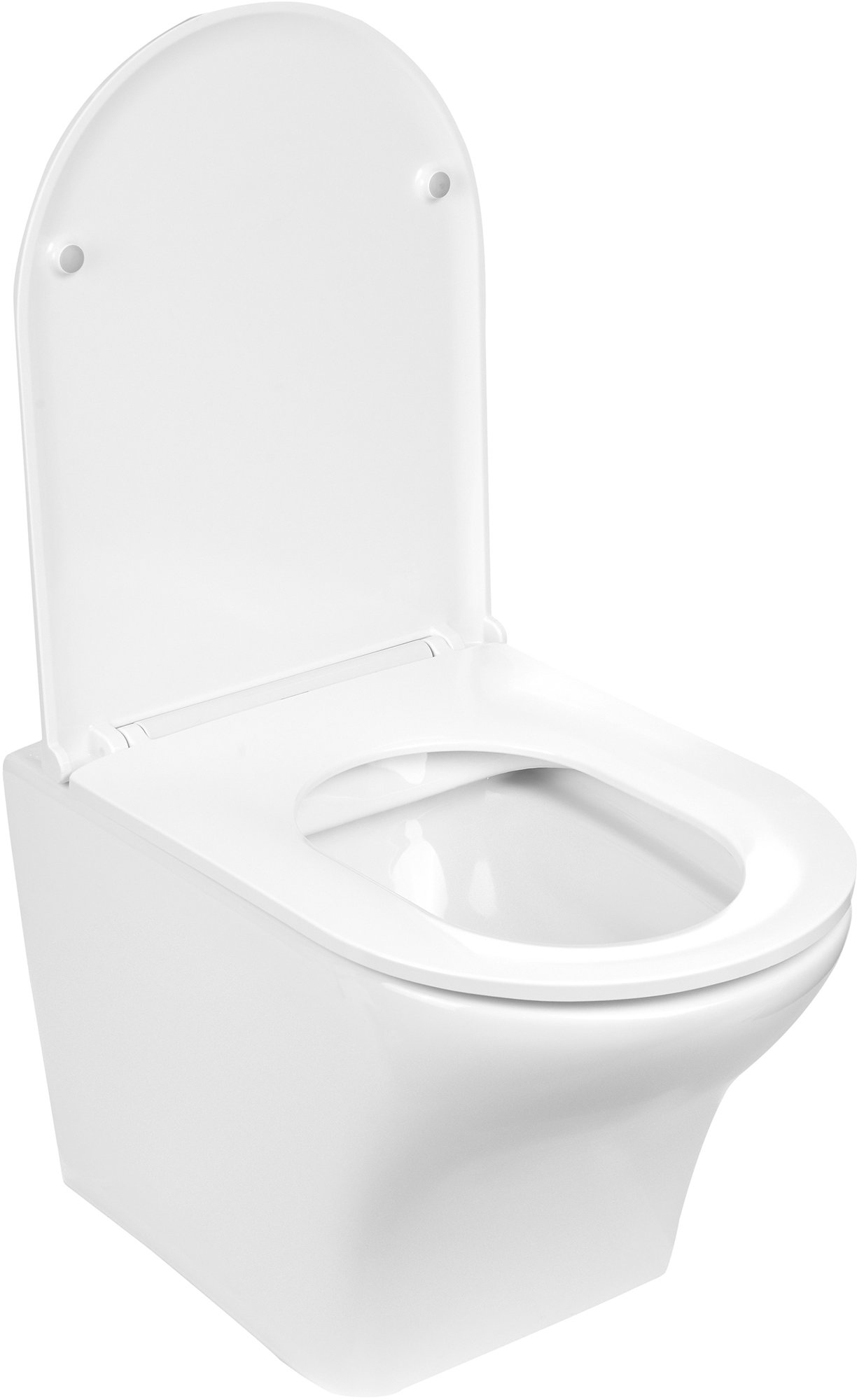 Унитаз подвесной WeltWasser ODENBACH 004 GL-WT