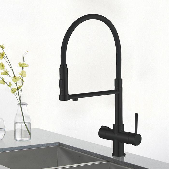 Смеситель для кухни с гибким изливом под фильтр Rose, R758H