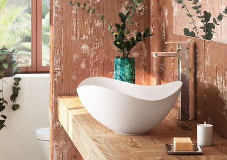 Раковина накладная Roca Ruy Ohtake 54х37.5, 7327A13000