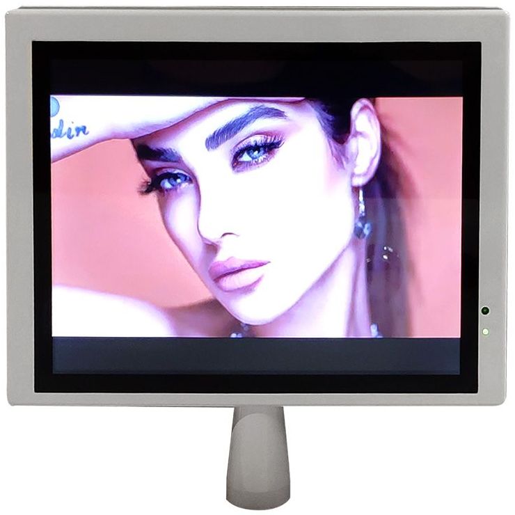 Смарт-телевизор Gemy 12", GTV0001