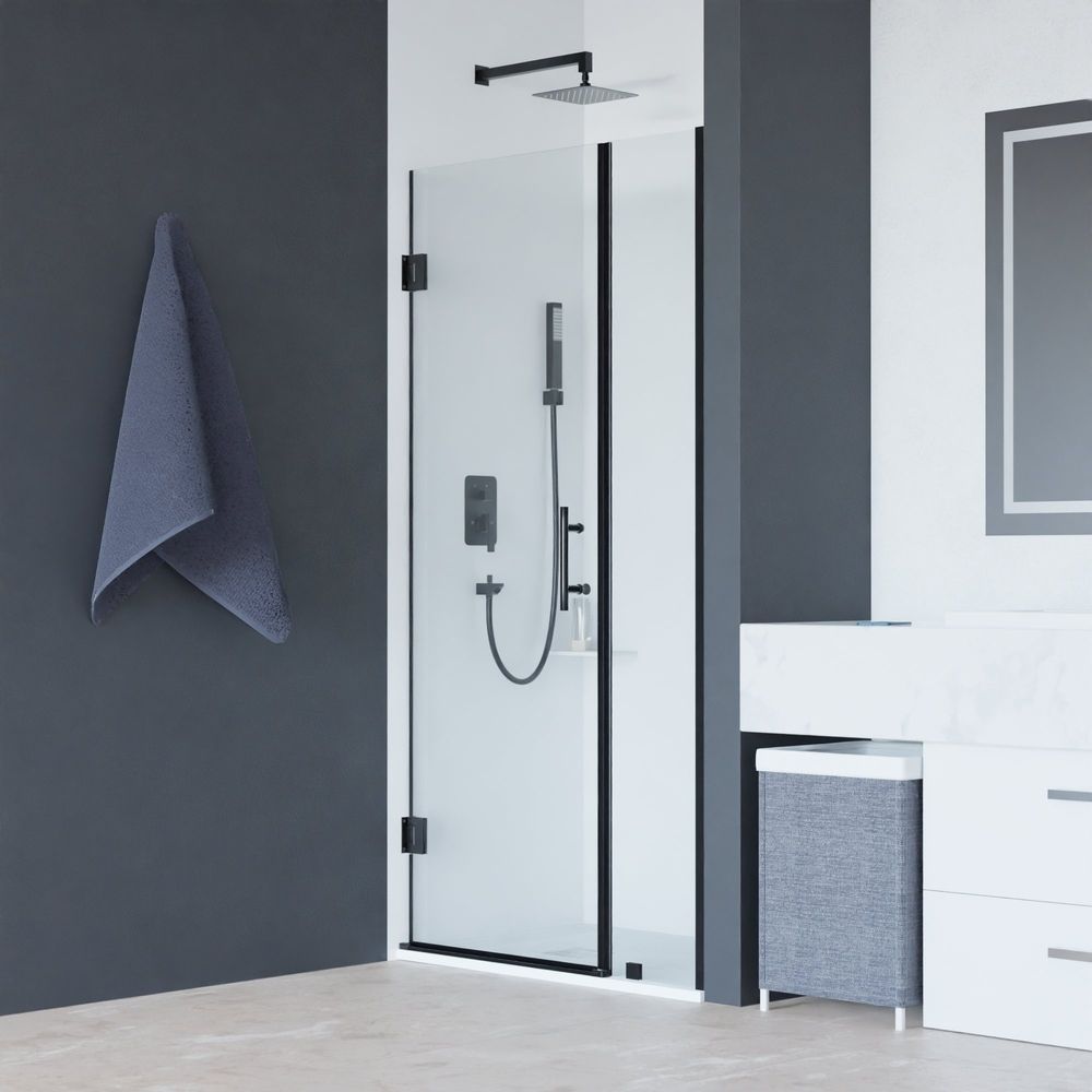 Душевая дверь RGW HO-012B-90-24, 350601209-24