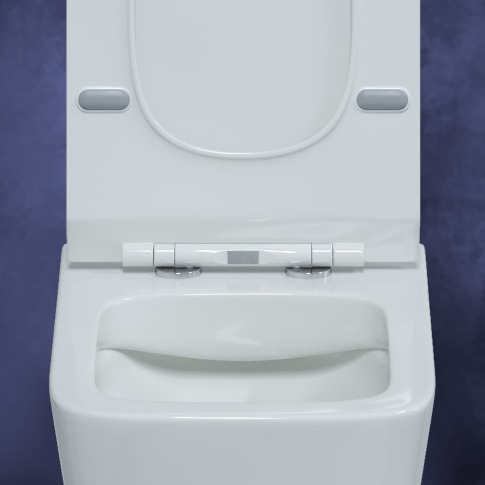 Унитаз подвесной Berges Floe Rimless с тонким сиденьем, 082121